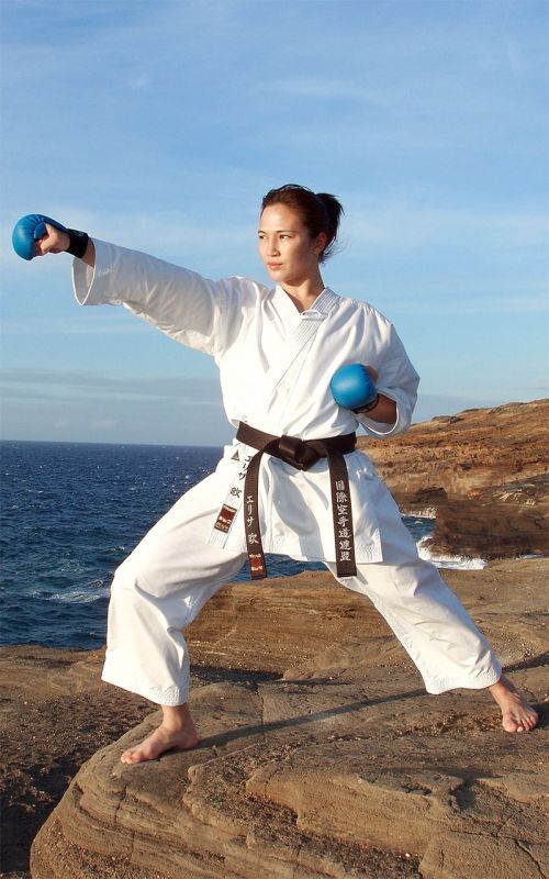 Karate Gi, TOKAIDO Hayate, Made in Japan, 8 oz. - Image 2